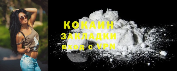 гидра Осинники